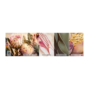 Prøve Fototapet Premium Canvas - Ømt omfavnet - Blomster, Planter, Botanik - 100x30 cm