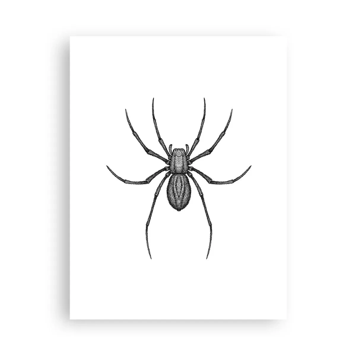 Plakat - Foruroligende præcision - 30x40 cm