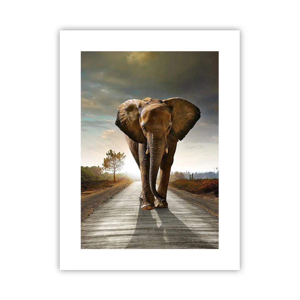 Plakat - Og slet ikke i en porcelænsbutik - 30x40 cm