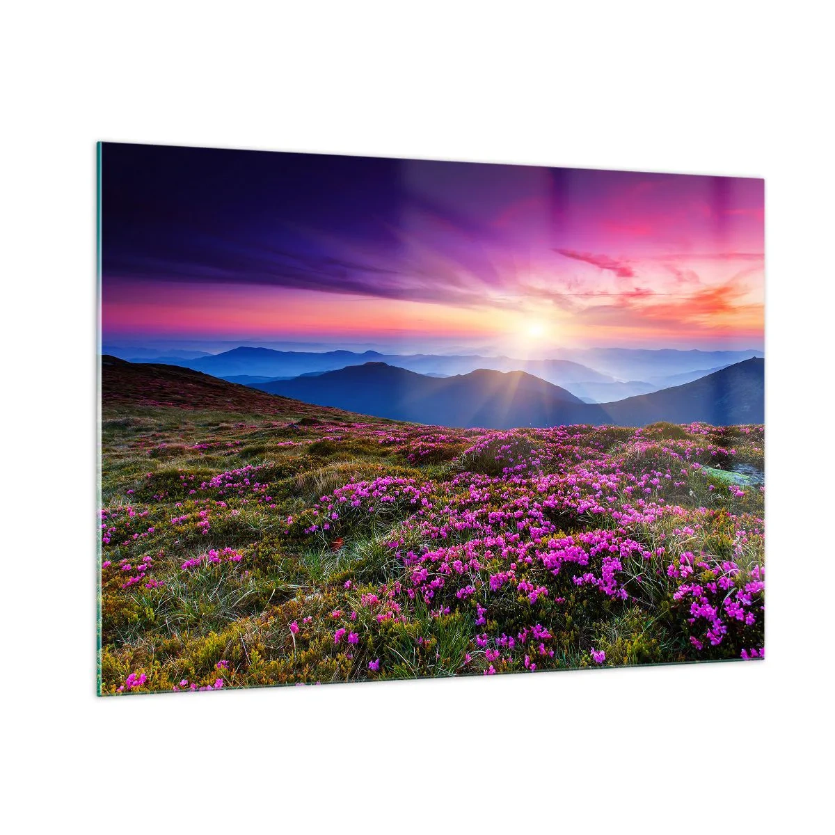 Billede på glas - Urter duftede friske bundter fra niw - 100x70 cm