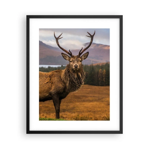 Plakat i sort ramme - Naturens majestæt - 40x50 cm