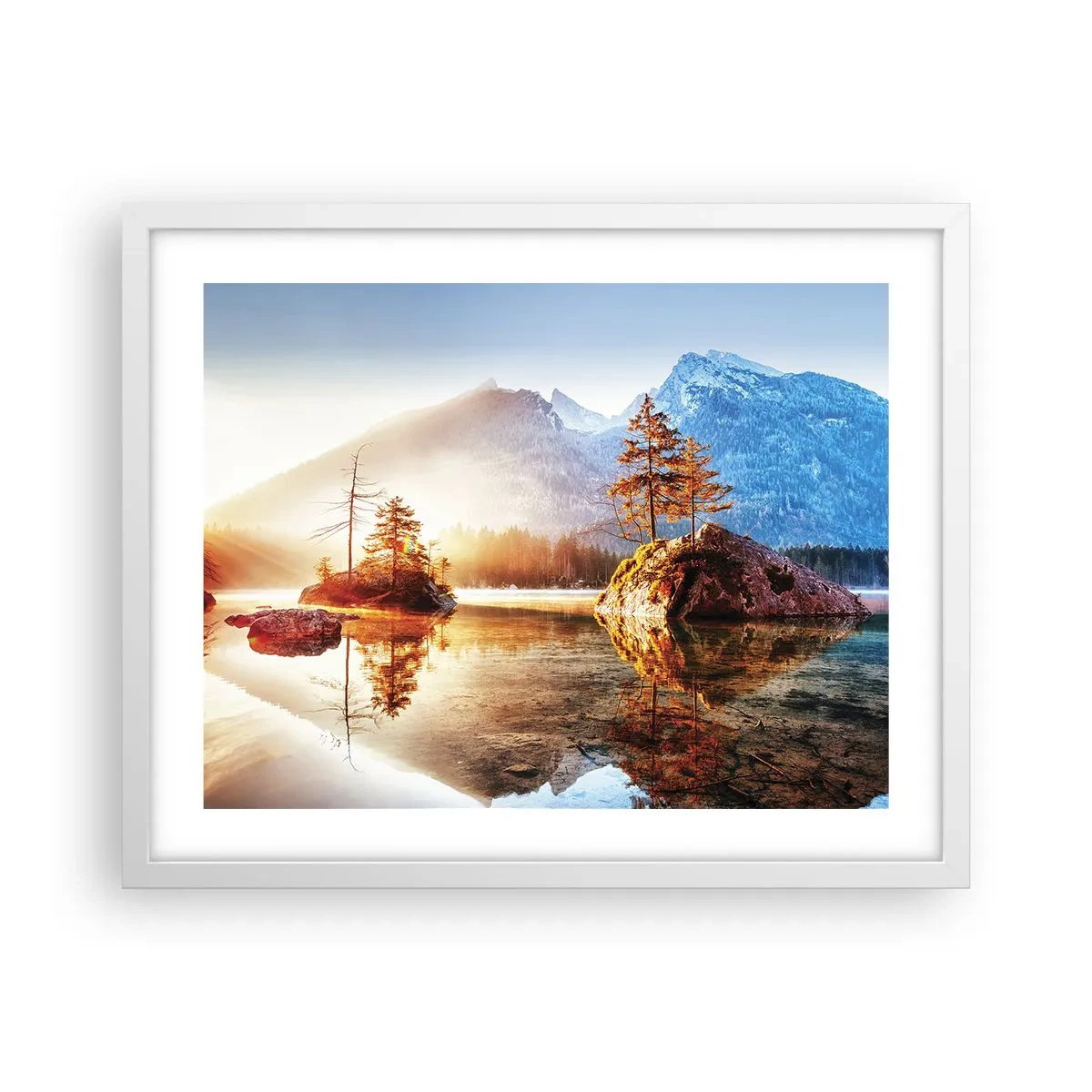 Plakat i hvid ramme - Naturen i et nyt lys - 50x40 cm