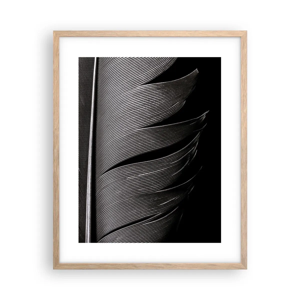 Plakat i ramme af lyst egetræ - Fjer - en vidunderlig konstruktion - 40x50 cm