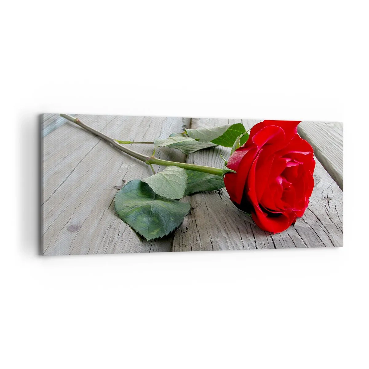 Lærredstryk - Billede på lærred - Studie i skarlagenrødt - 120x50 cm