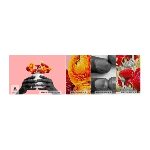 Prøve Fototapet Premium Sand - Livets apotheose - Abstraktion, Stykke, Blomster - 100x30 cm