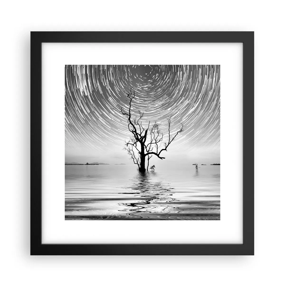 Plakat i sort ramme - En natursymfoni - 30x30 cm