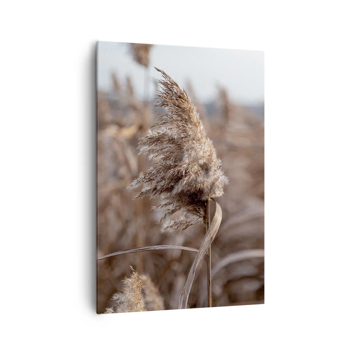 Lærredstryk - Billede på lærred - Tid til at flyve væk med vinden - 70x100 cm