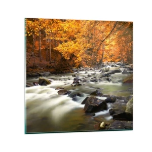 Billede på glas - Et vandløb i den gyldne skov - 30x30 cm