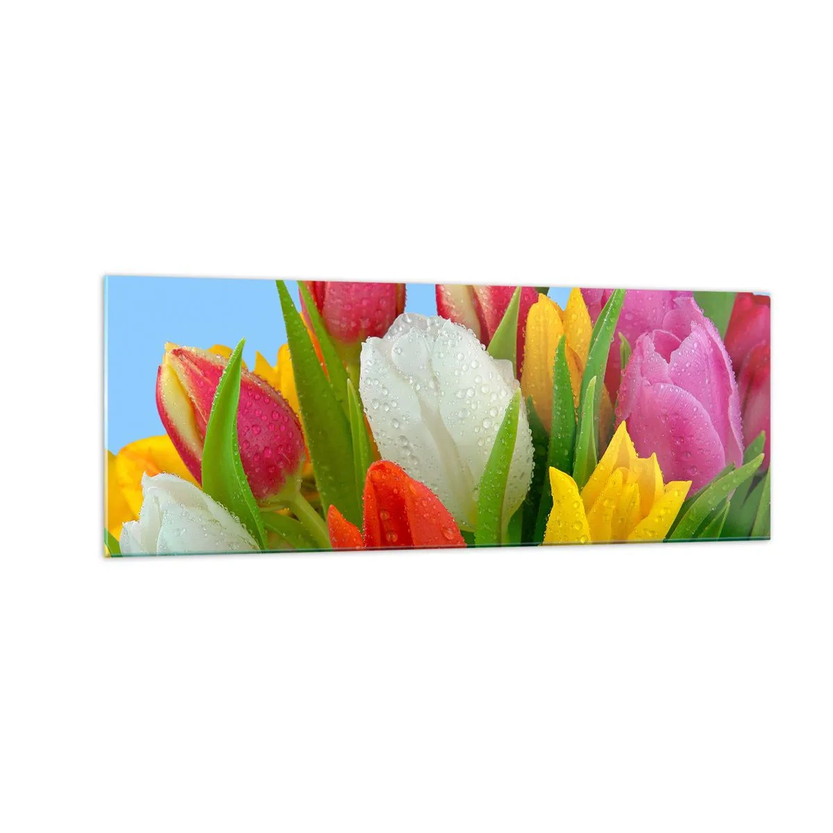 Billede på glas - En blomstret regnbue i dugdråber - 140x50 cm