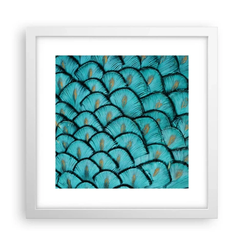 Plakat i hvid ramme - Den store fjer-galla - 30x30 cm