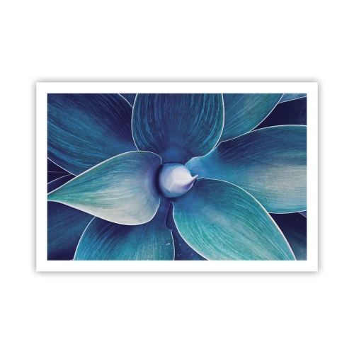 Plakat - Blå fra himlen - 91x61 cm