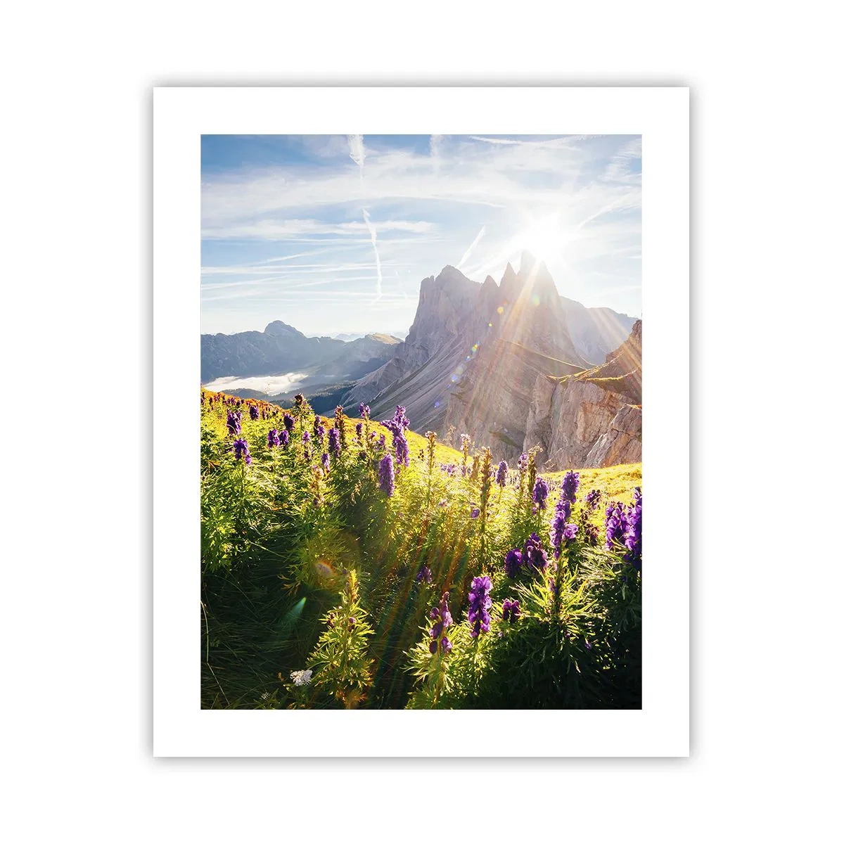 Plakat - Urternes hemmelige liv - 40x50 cm