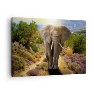 Lærredstryk - Billede på lærred - En afrikansk elefant mod et savanne- og bjerglandskab - 70x50cm - Sådan så Eden ud - Moderne vægdekoration til stue og soveværelse ARTTOR