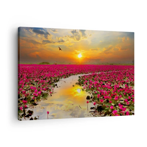 Lærredstryk - Billede på lærred - Et felt af lyserøde åkander ved solnedgang - 70x50cm - Søens hemmelige liv - Moderne vægdekoration til stue og soveværelse ARTTOR