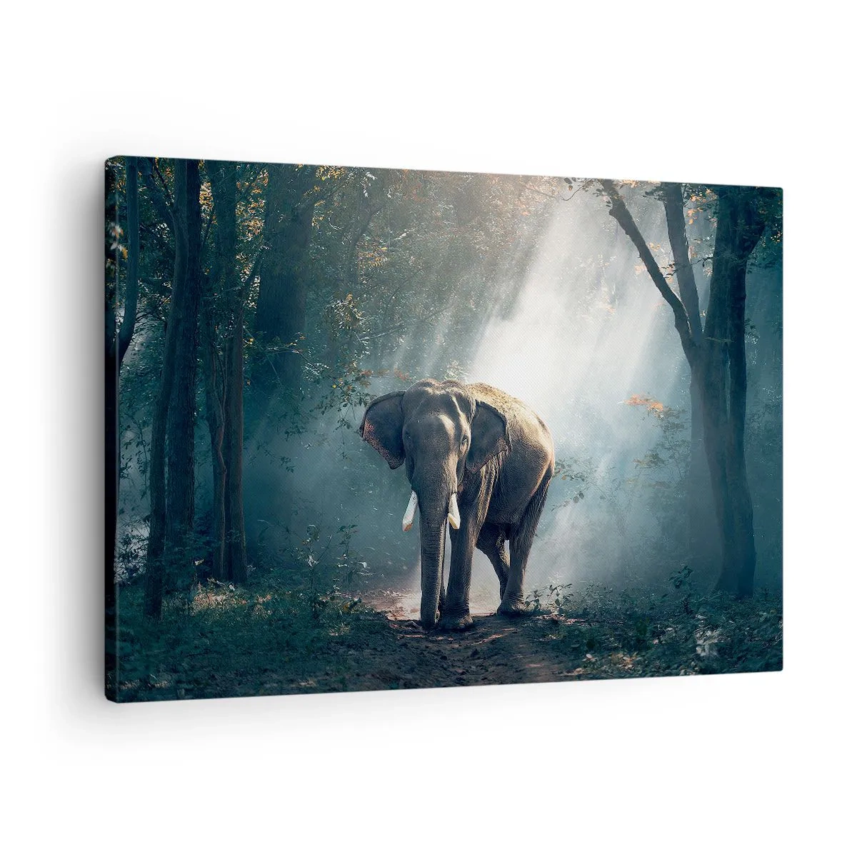 Lærredstryk - Billede på lærred - Elefant i skovlyset - 70x50cm - En fredelig gåtur - Moderne vægdekoration til stue og soveværelse ARTTOR