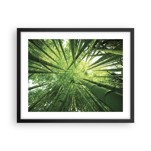 Plakat i sort ramme - I en bambuslund - 50x40 cm