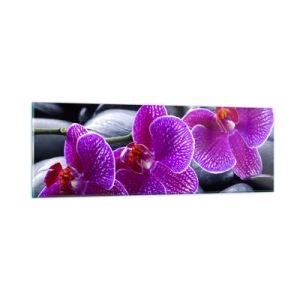 Billede på glas - Stenene lyste op af glæde - 90x30 cm