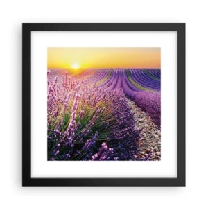 Plakat i sort ramme - Duftende plet - 30x30 cm