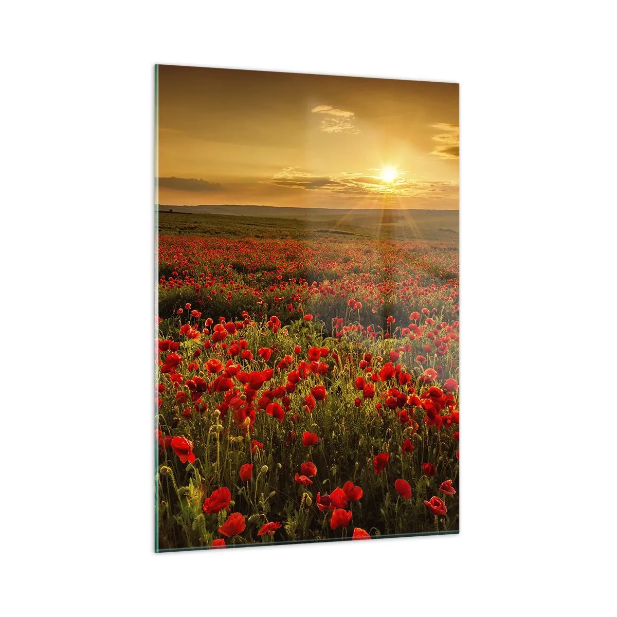 Billede på glas - Blandt bølgerne af raslende enge, blandt flodblomster - 50x70 cm