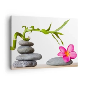 Lærredstryk - Billede på lærred - Bambus og lyserød blomst på zen-stil sten - 70x50cm - Livets og varighedens farver - Moderne vægdekoration til stue og soveværelse ARTTOR