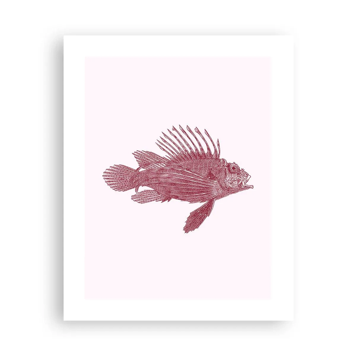 Plakat - En beboer i eksotiske farvande - 40x50 cm