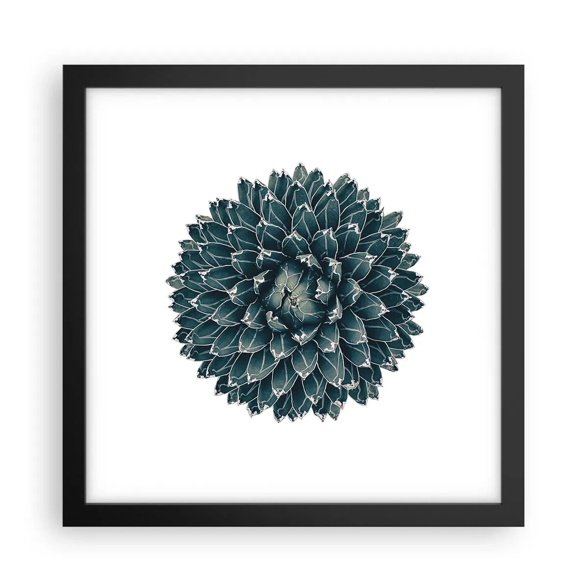 Plakat i sort ramme - Ørkenstjerne - 30x30 cm
