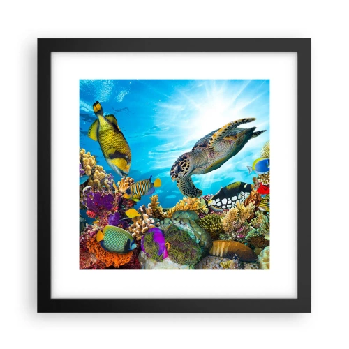 Plakat i sort ramme - Koralpromenade - 30x30 cm