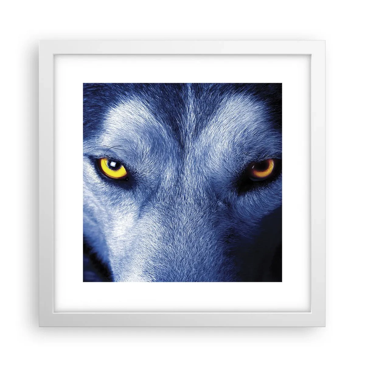 Plakat i hvid ramme - Et hypnotiserende udseende - 30x30 cm