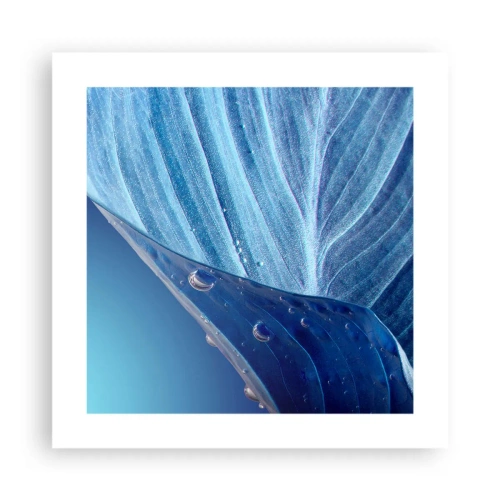 Plakat - Skjulte dråber af blåt - 40x40 cm