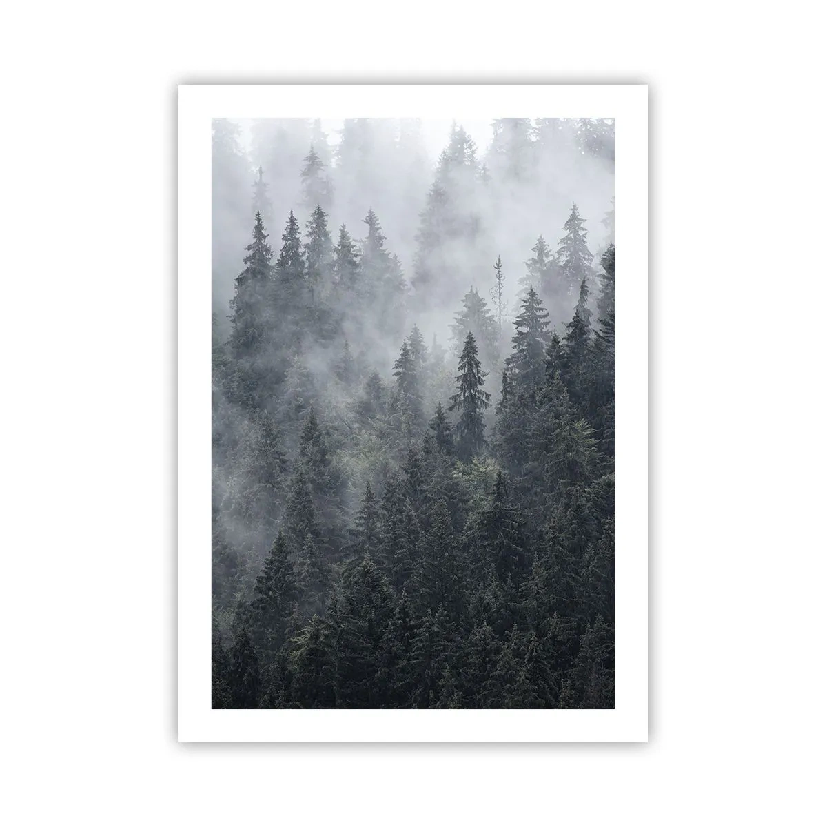 Plakat - Skovens daggry - 50x70 cm