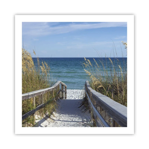 Plakat - I solen, i vinden - 60x60 cm