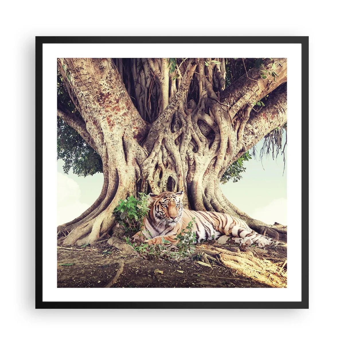 Plakat i sort ramme - Udsigt fra Første Mosebog - 60x60 cm