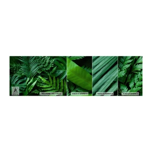 Prøve Fototapet Selvklæbende Deluxe Sticker - Kranset i grønt - Eksotisk plante, Palmeblad, Monstera blad - 100x30 cm