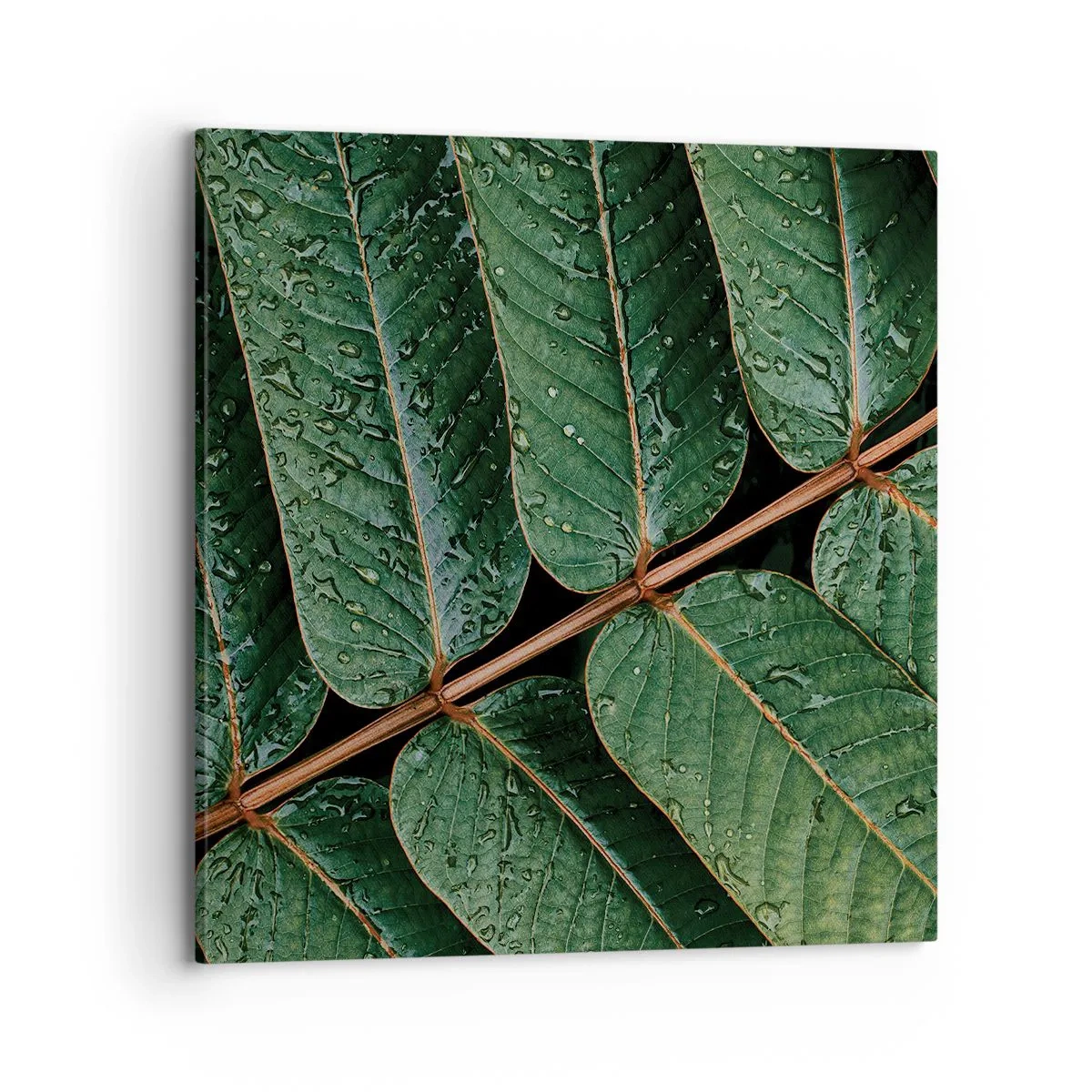 Lærredstryk - Billede på lærred - I en grøn rytme - 70x70 cm