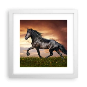 Plakat i hvid ramme - Sort prins - 30x30 cm
