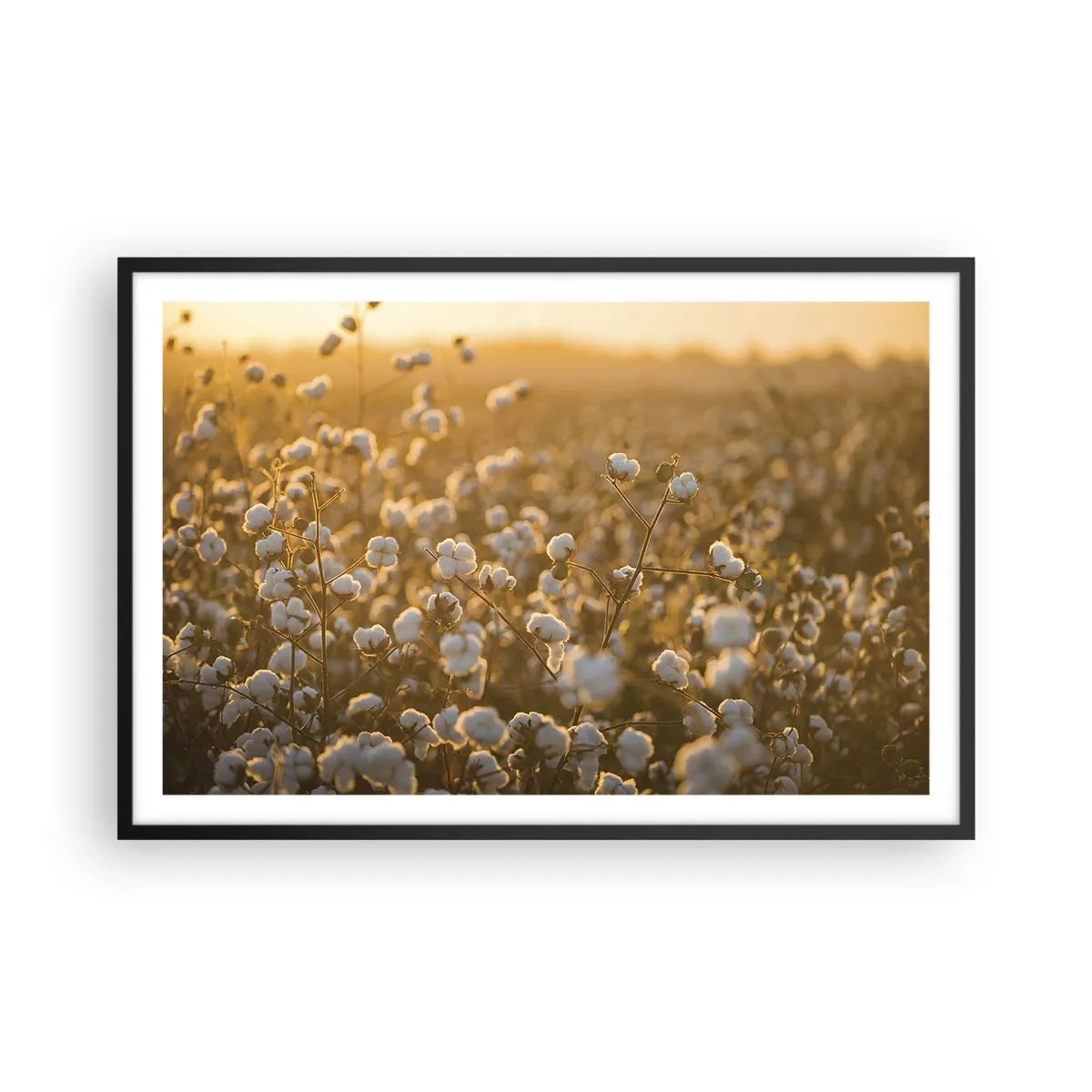 Plakat i sort ramme - Et luftigt felt - 91x61 cm