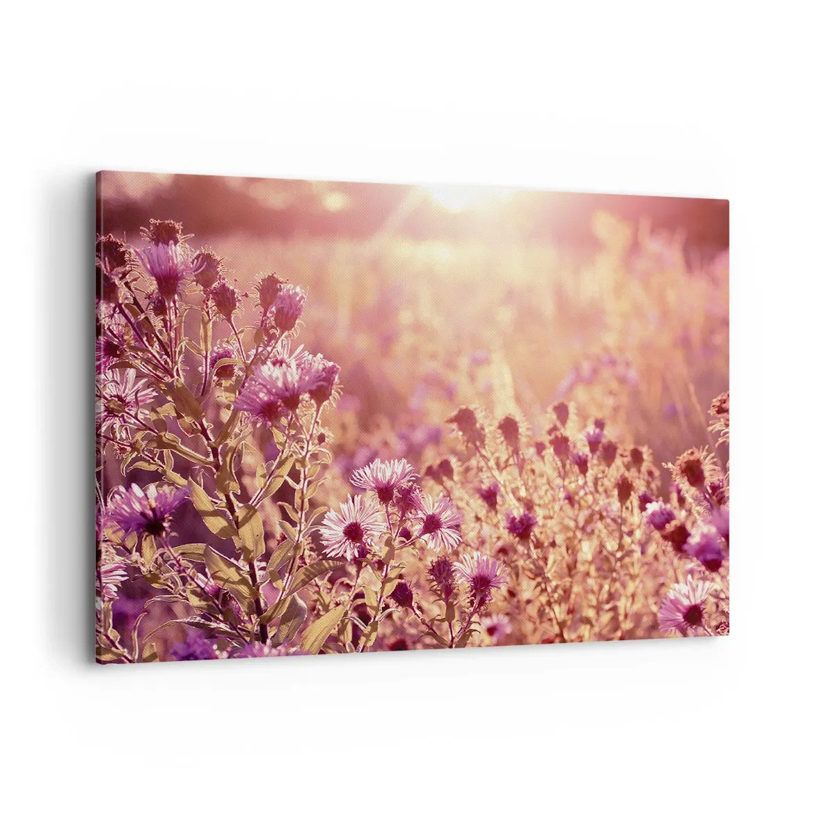 Lærredstryk - Billede på lærred - Før sommeren er forbi - 120x80 cm