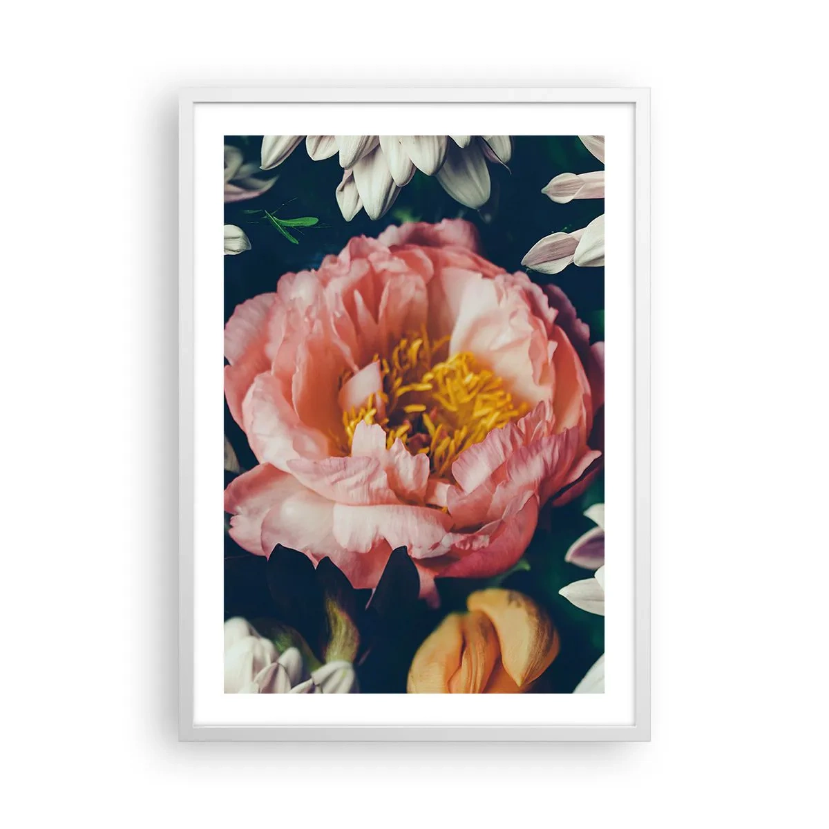Plakat i hvid ramme - Med barok pragt - 50x70 cm