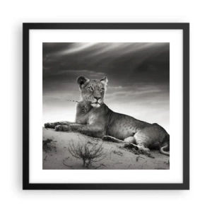 Plakat i sort ramme - Resten af ørkendronningen - 40x40 cm