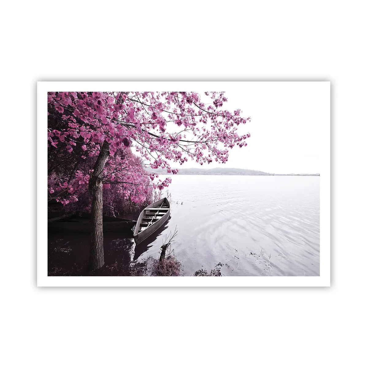 Plakat - I lyserød stilhed - 100x70 cm