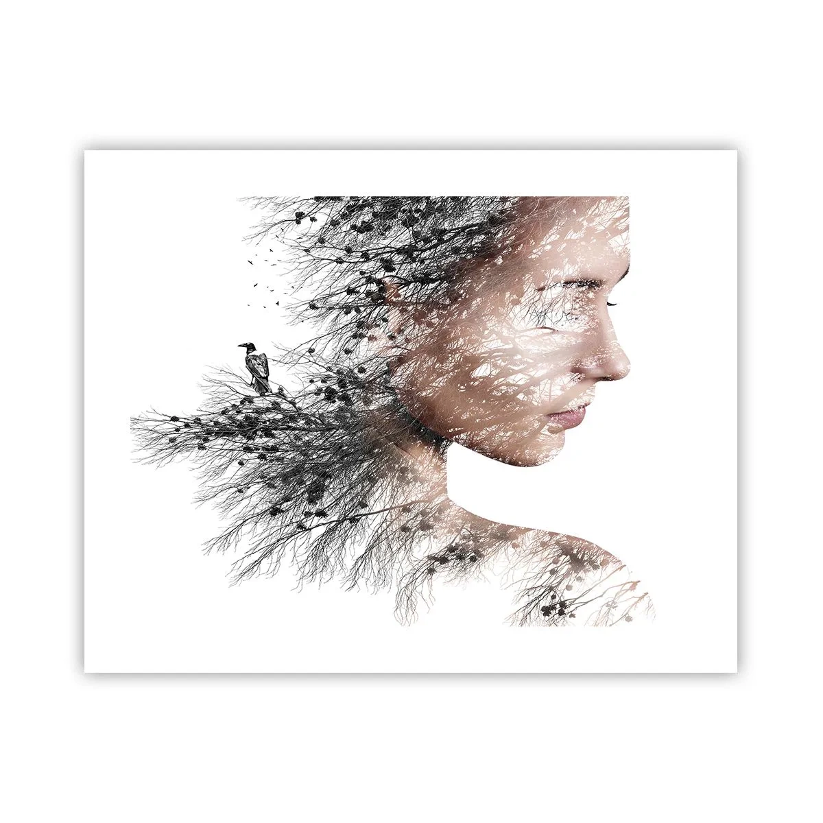 Plakat - Skovens ånd - 50x40 cm