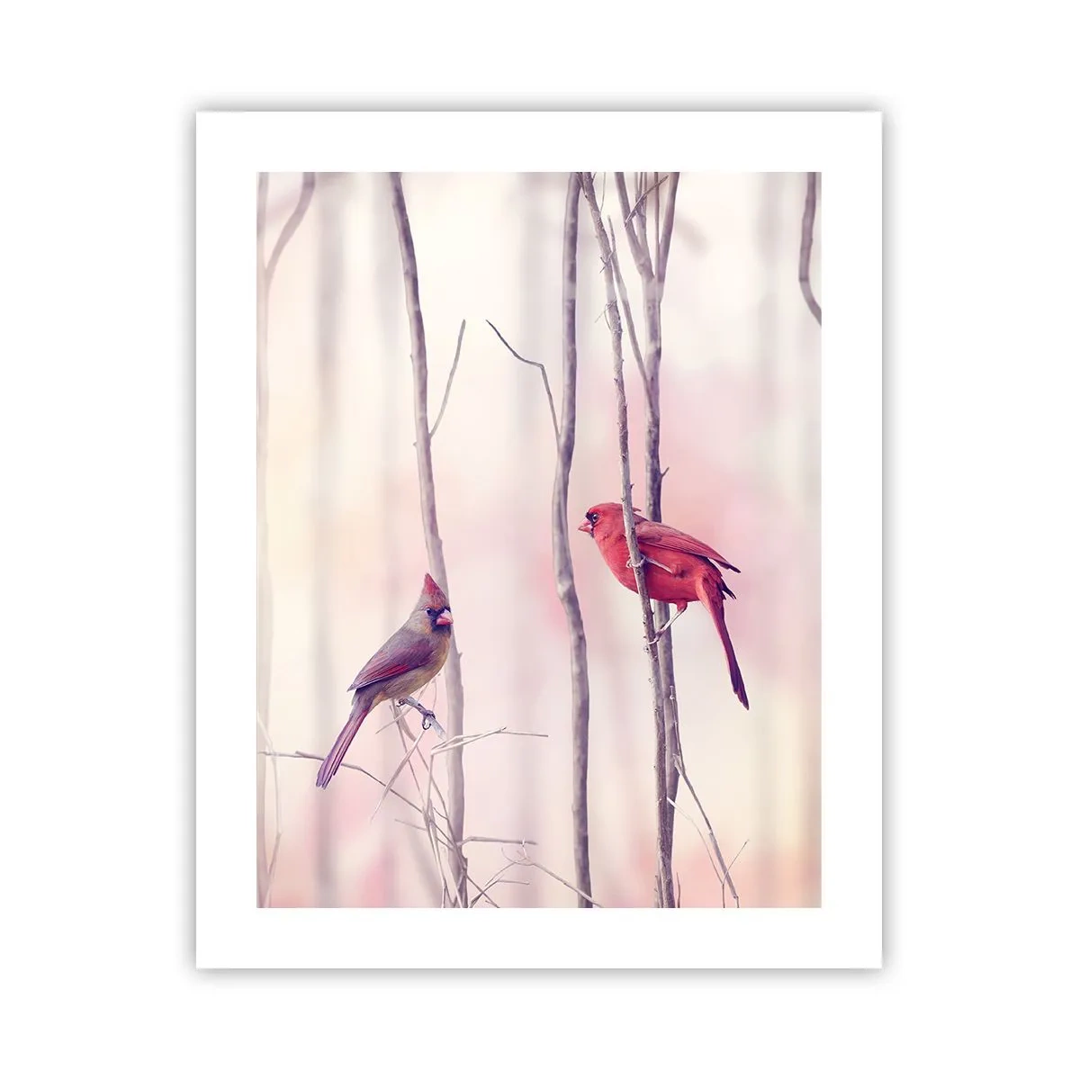 Plakat - Fortællingen om den lyserøde skov - 40x50 cm