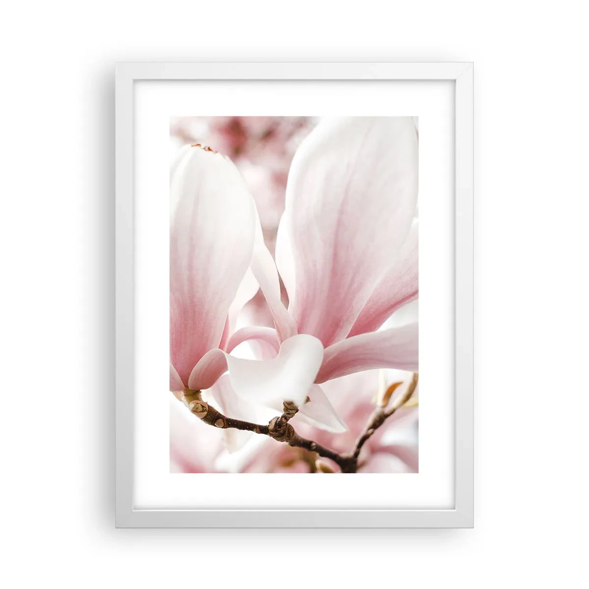 Plakat i hvid ramme - Ømhedens umådelighed - 30x40 cm