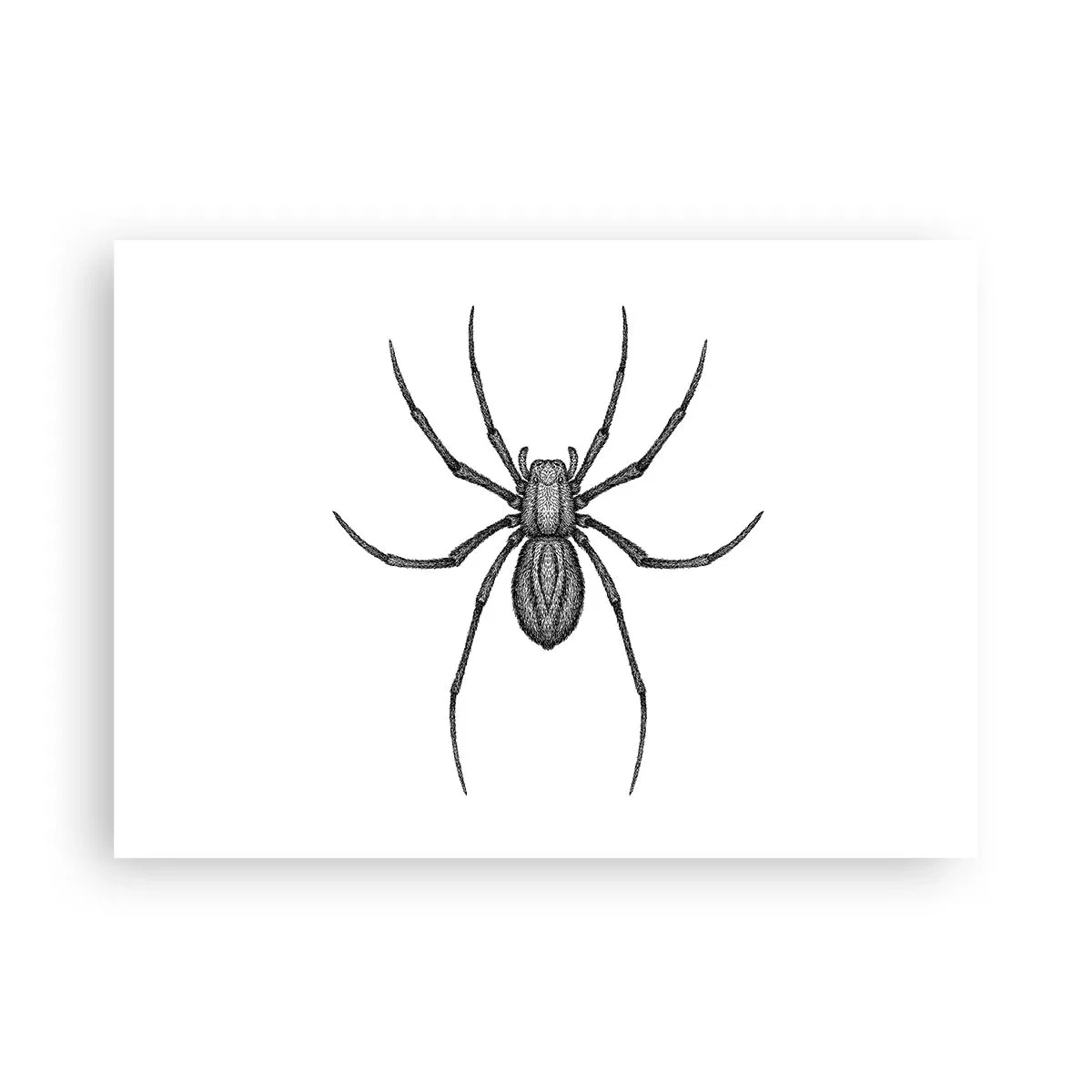 Plakat - Foruroligende præcision - 70x50 cm