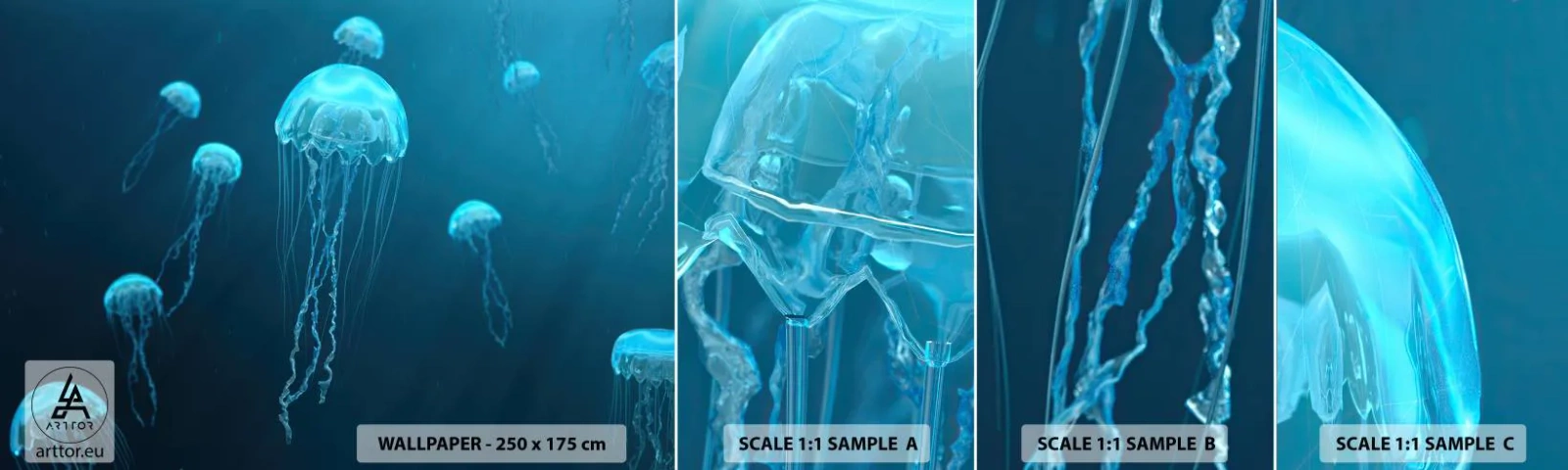 Fototapet Prøve Standard Eco - Havets dans - Vandmand, Ocean, Vand - 100x30 cm