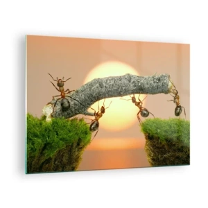 Billede på glas - Myrer bygger en bro ved solnedgang - 70x50cm - Glædeligt, fælles arbejde - Moderne vægdekoration til stue og soveværelse ARTTOR