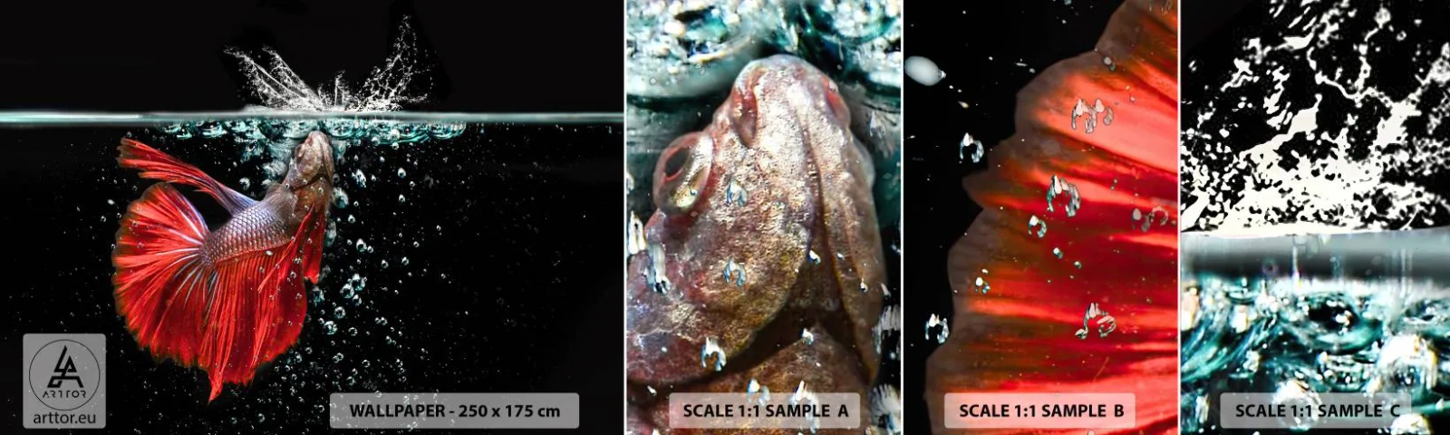 Prøve Fototapet Selvklæbende Deluxe Sticker - Du har tre ønsker - Abstraktion, Akvarium, Fisk - 100x30 cm