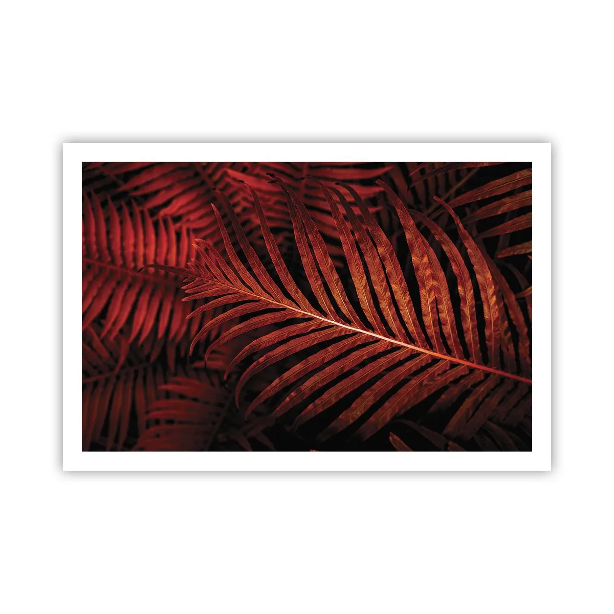 Plakat - Livets varme - 91x61 cm