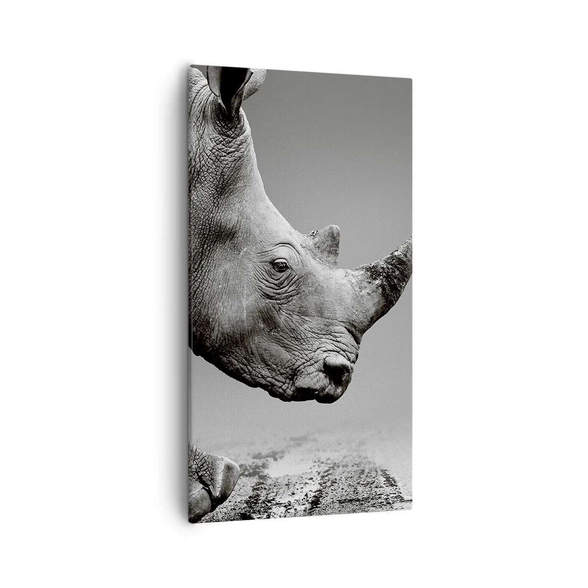 Lærredstryk - Billede på lærred - En ustoppeli - 55x100 cm