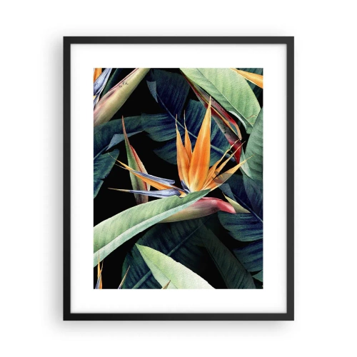 Plakat i sort ramme - Flammeblomster i troperne - 40x50 cm